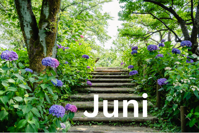 Juni